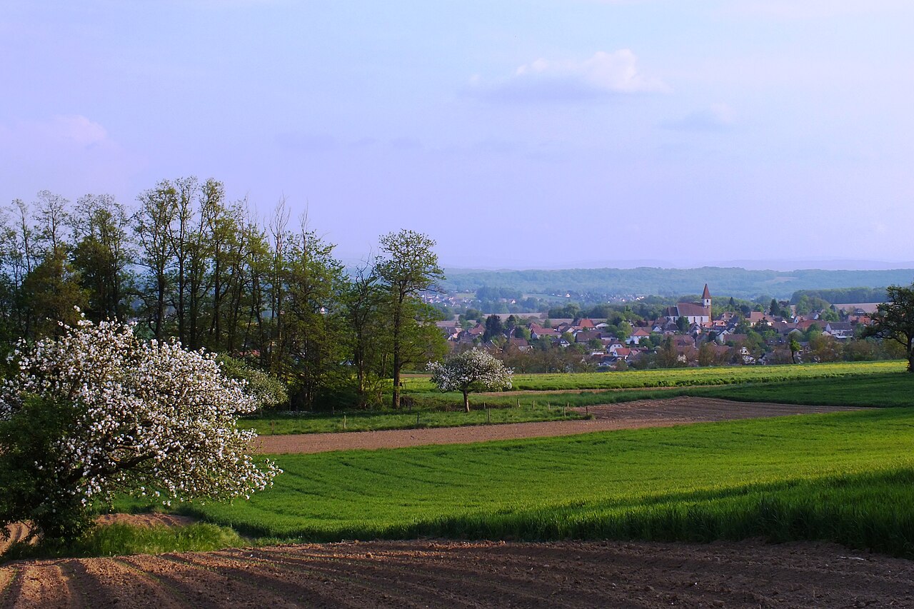 Vue de Eschentzwiller