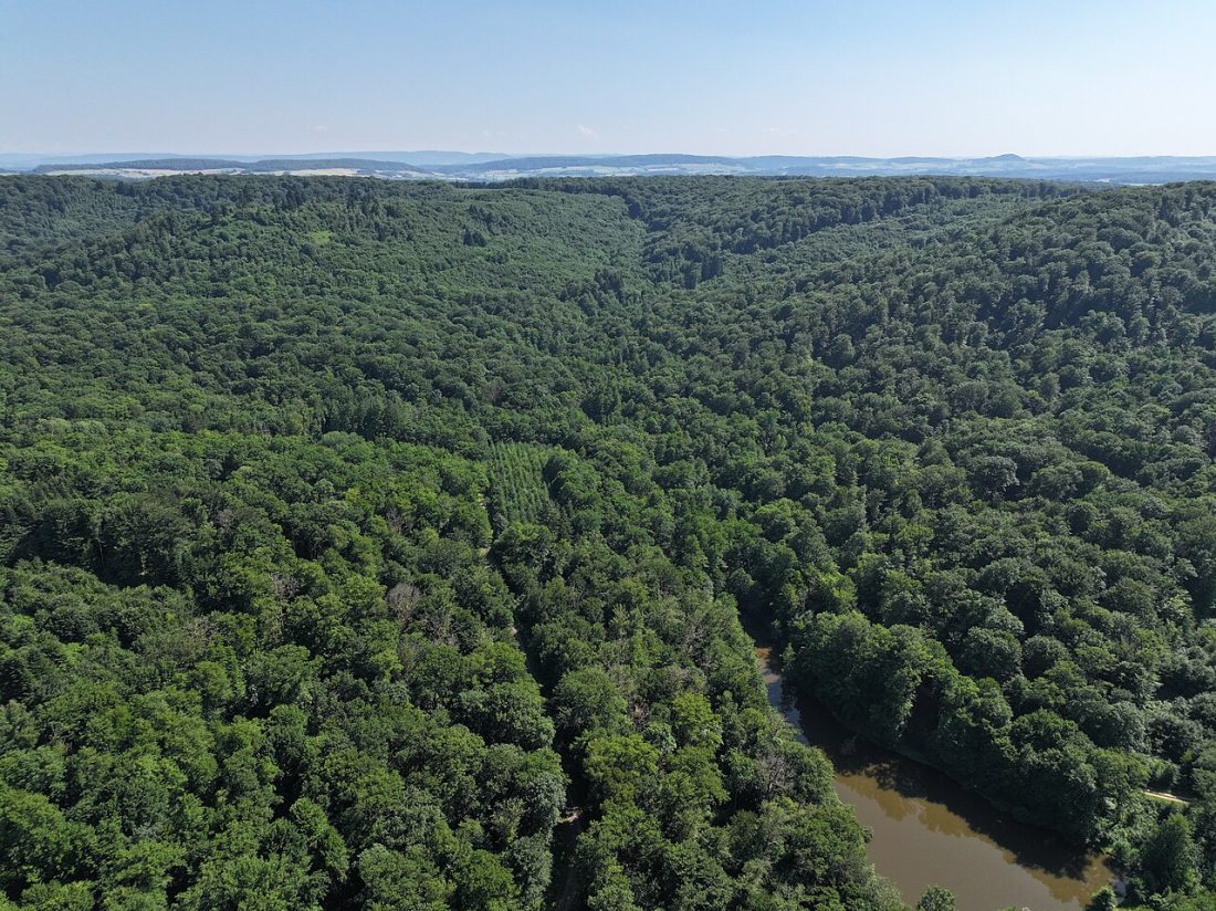 Vue de Faymont