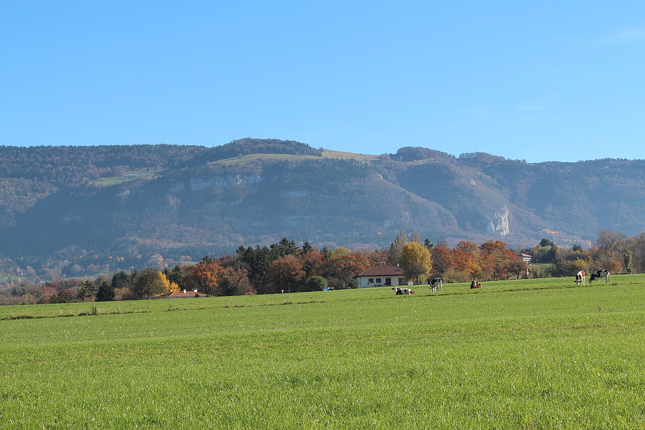 Vue de Feigères