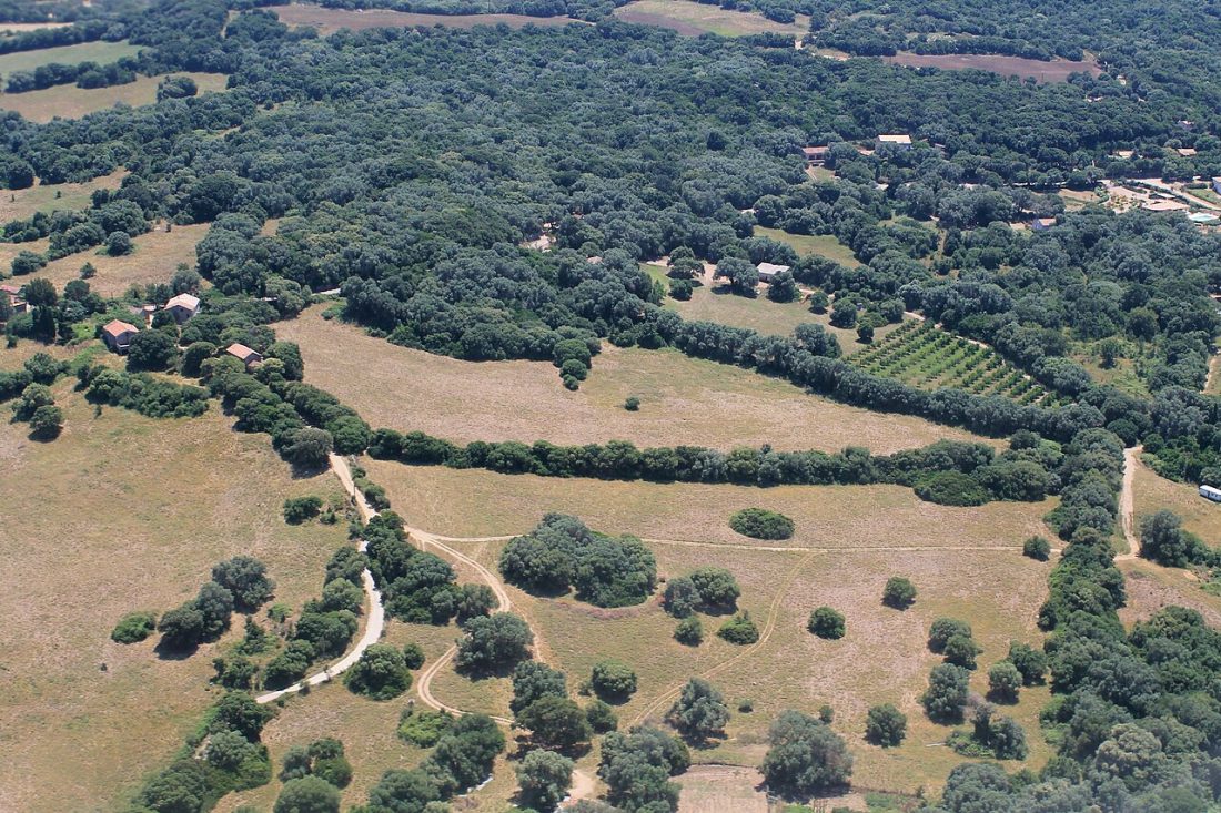Vue de Figari