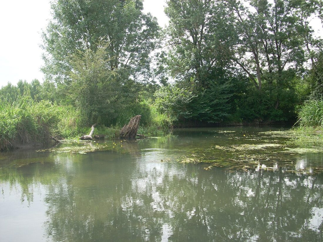 Vue de Fléac-sur-Seugne