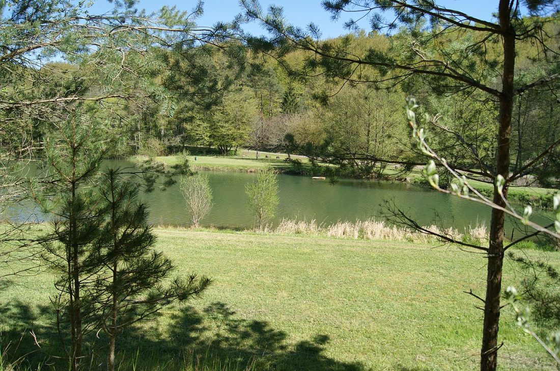 Vue de Foncegrive