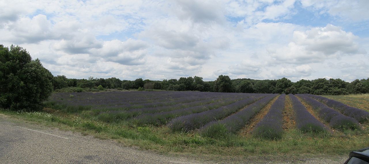 Vue de Fontarèches