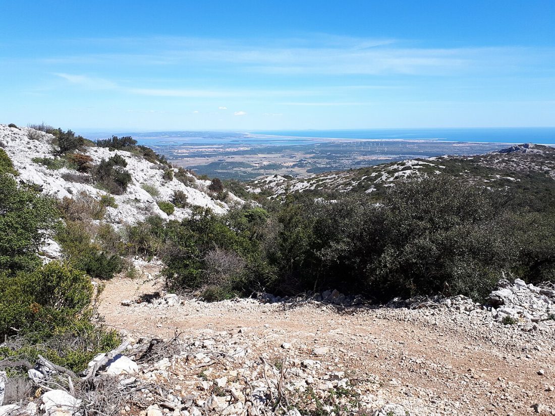 Vue de Fraissé-des-Corbières
