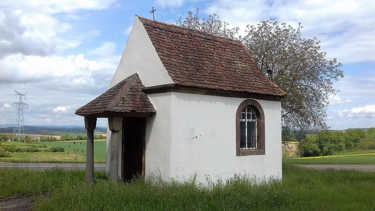 Vue de Friedolsheim
