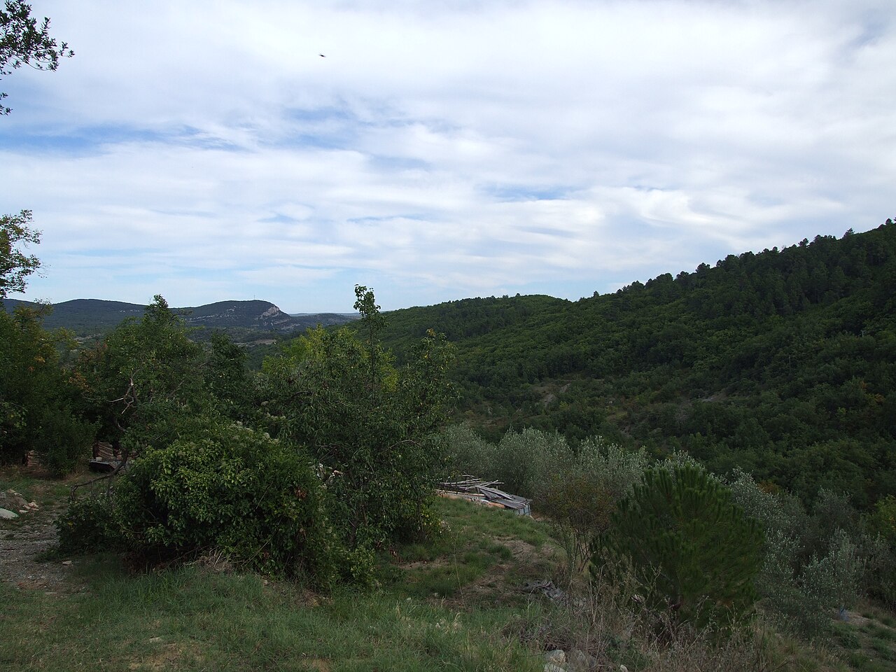 Vue de Gagnières