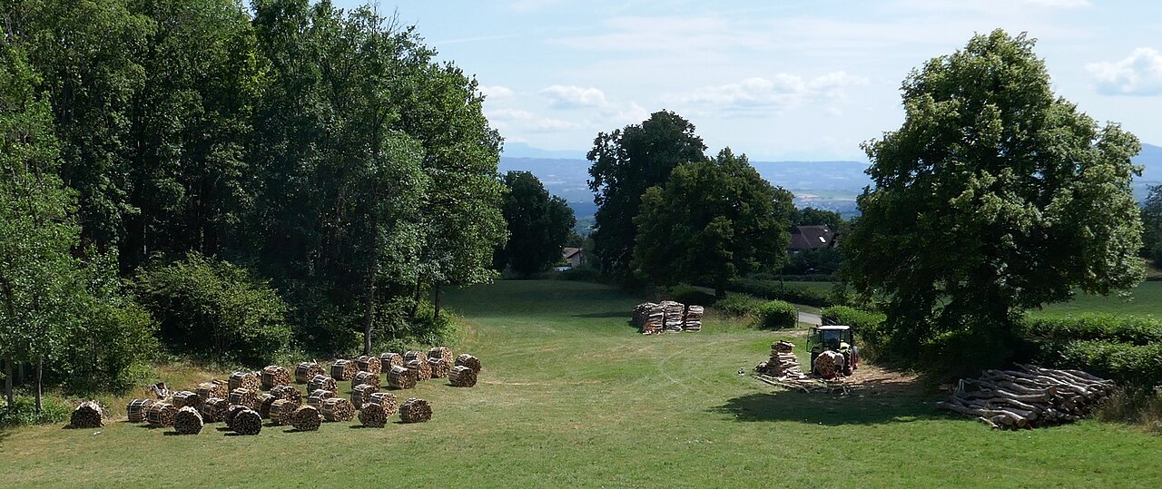 Vue de Gex