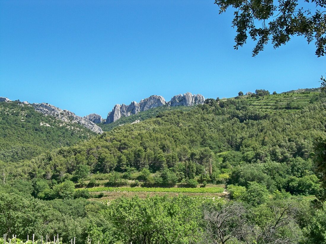Vue de Gigondas