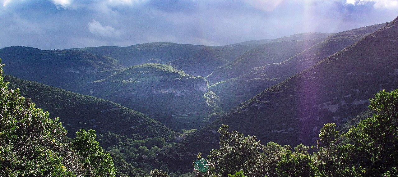 Vue de Gorniès