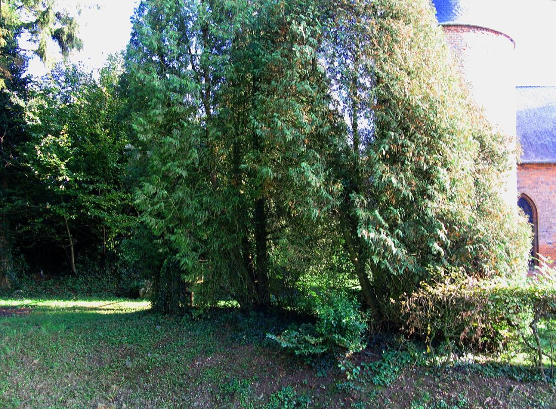 Vue de Grandrieux