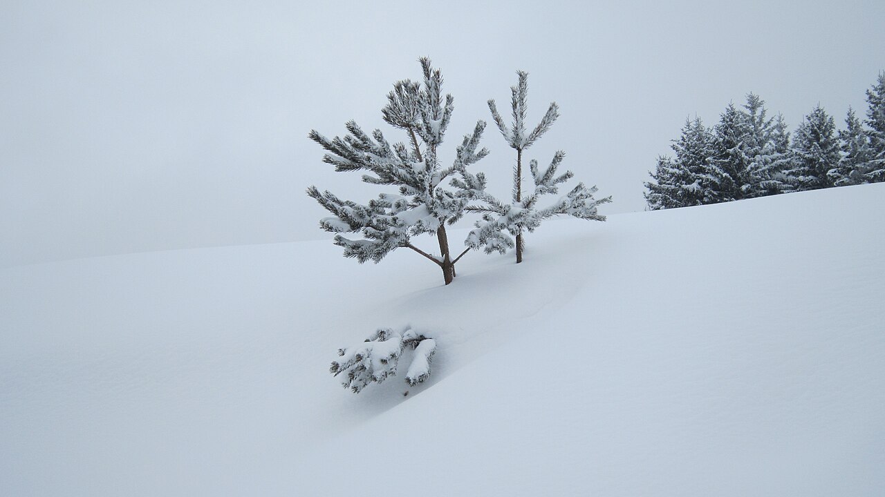 Vue de Grandrif