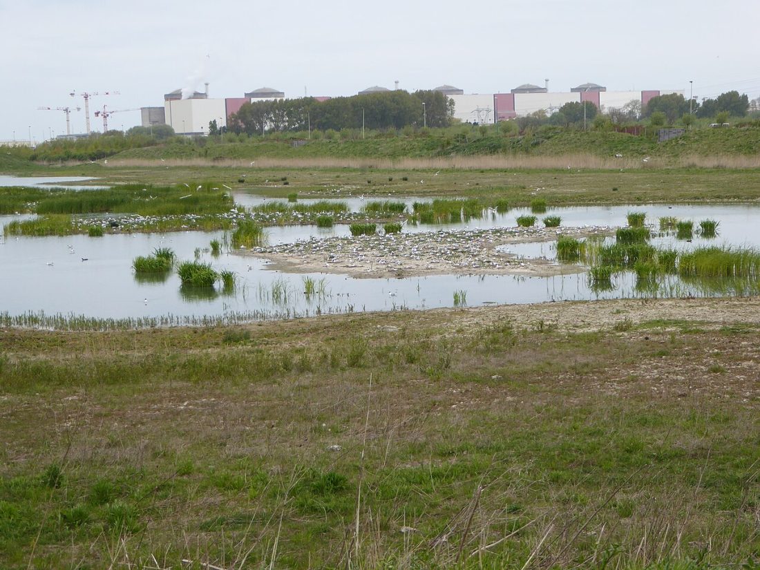 Vue de Gravelines