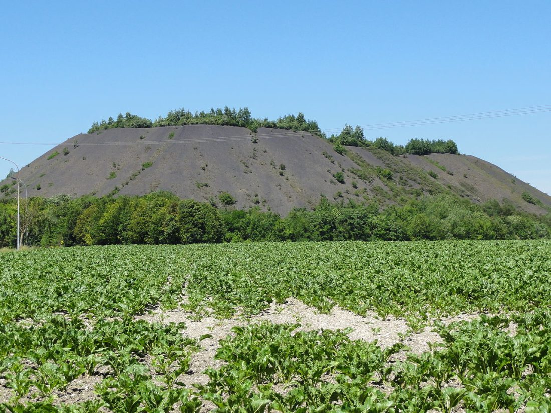 Vue de Grenay