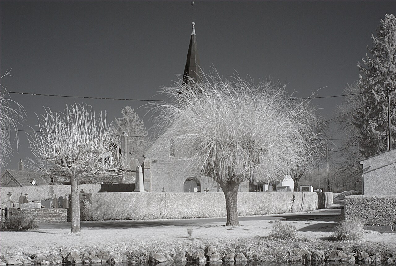 Vue de Grosbois-lès-Tichey