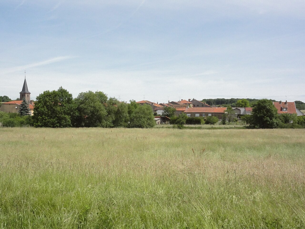 Vue de Guéblange-lès-Dieuze