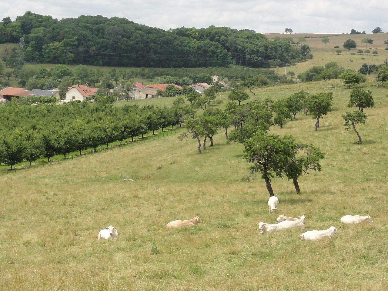 Vue de Haigneville