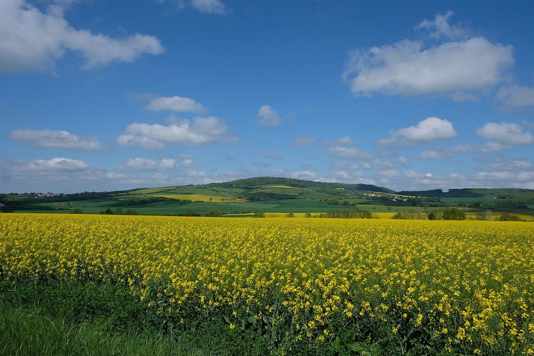 Vue de Hannocourt