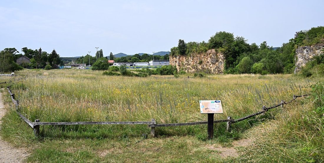 Vue de Hettange-Grande