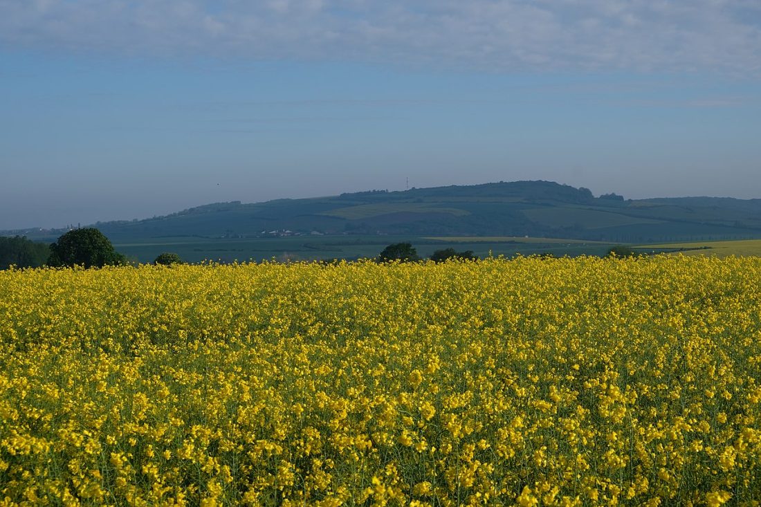 Vue de Jallaucourt