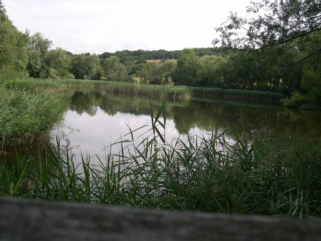 Vue de Jarrie