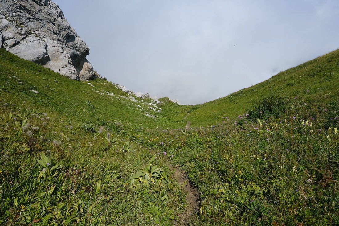 Vue de Jarsy