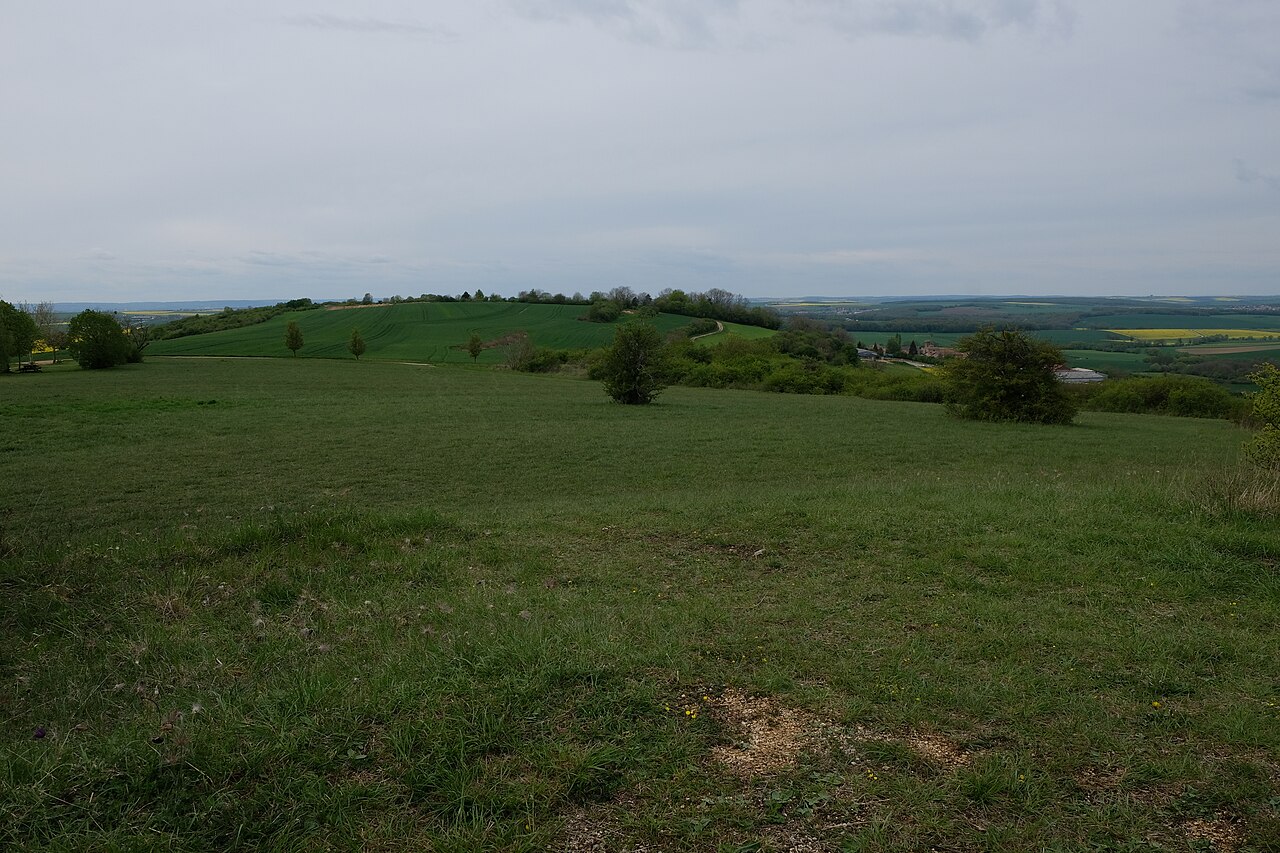 Vue de Juville