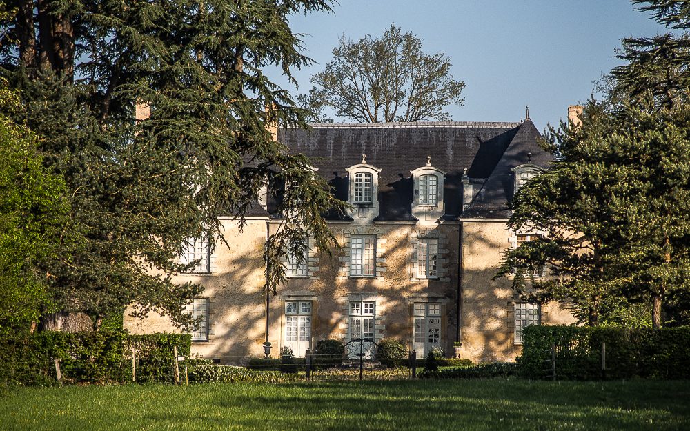 Vue de La Chapelle-d'Aligné