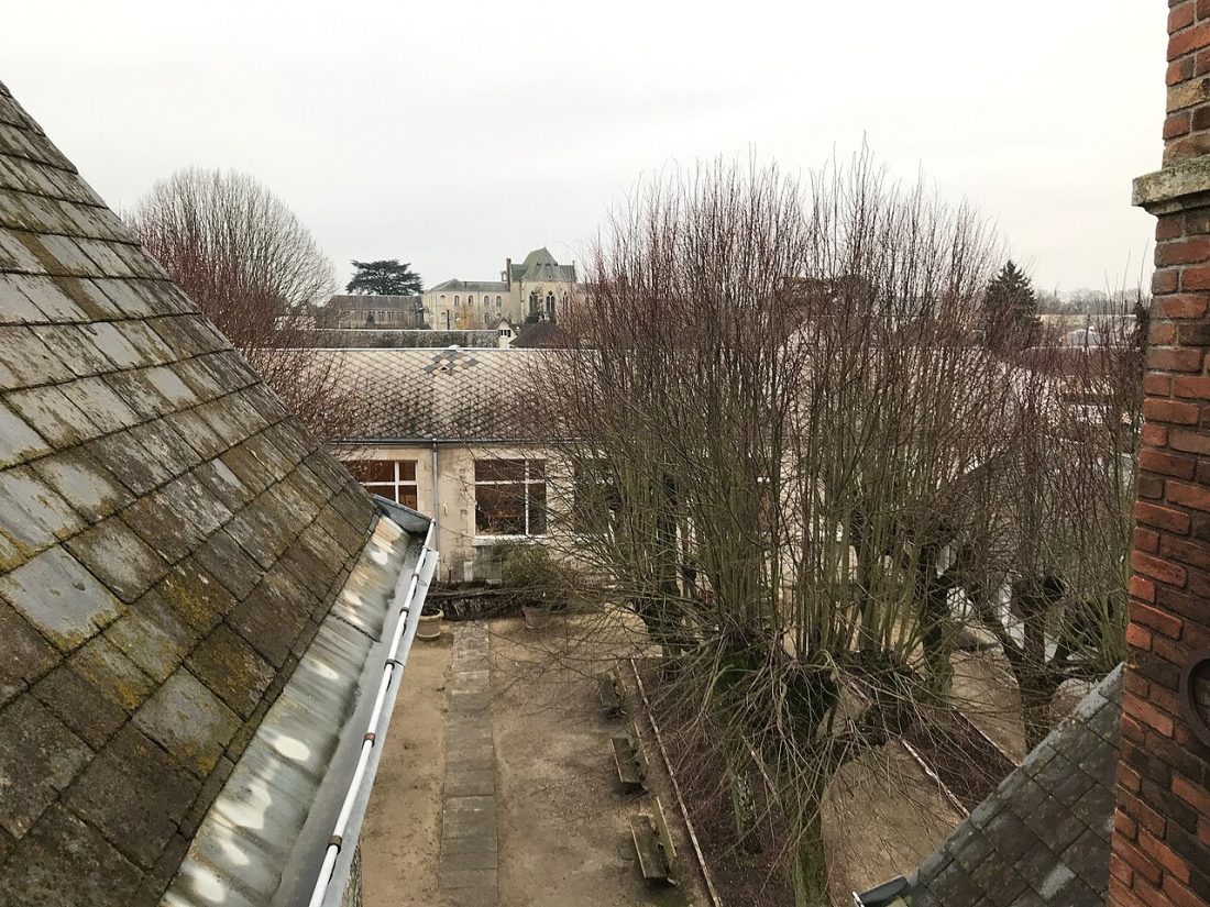 Vue de La Chapelle-Saint-Mesmin