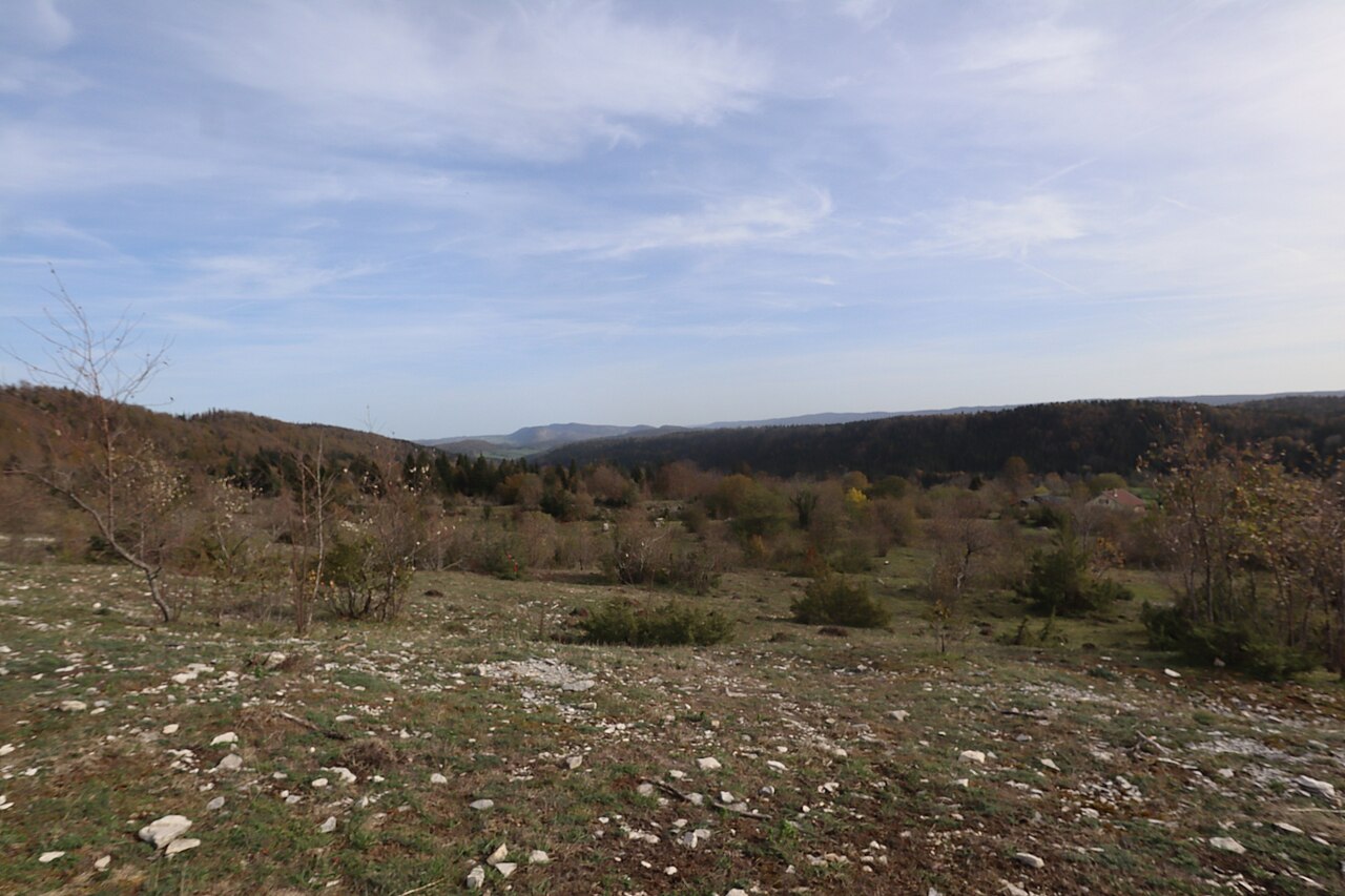 Vue de La Chaux-du-Dombief