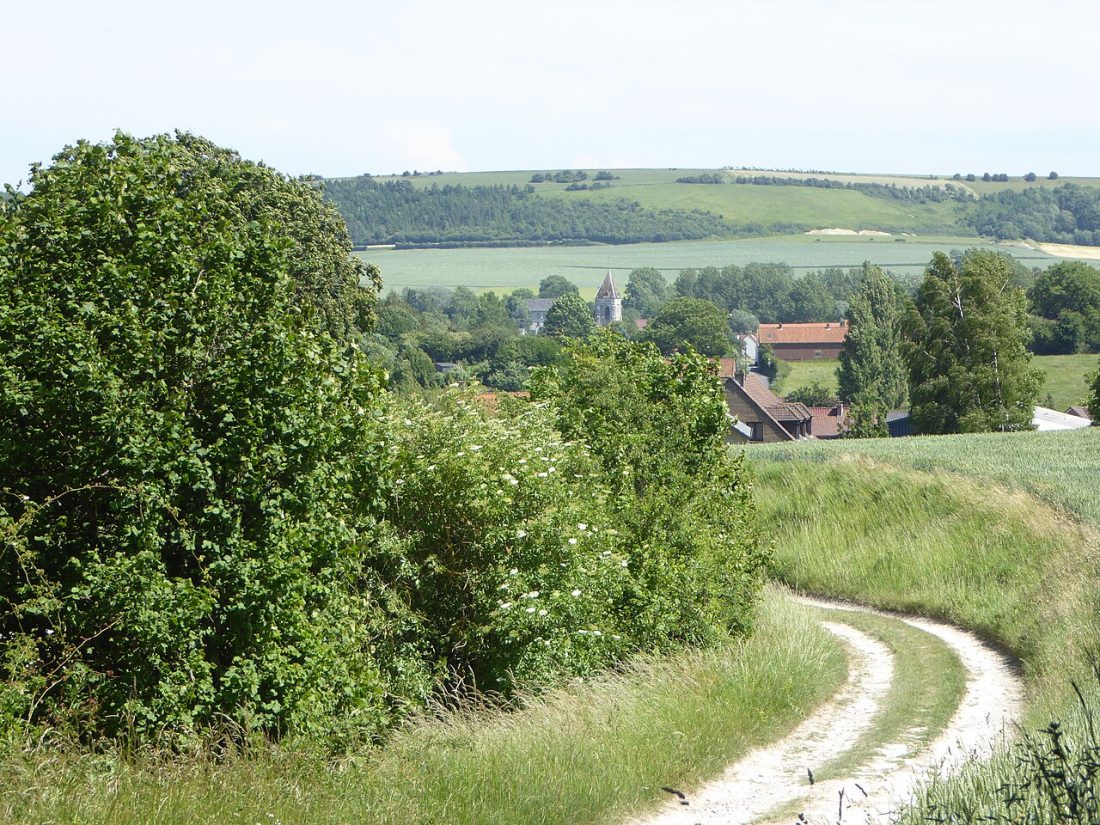Vue de La Comté