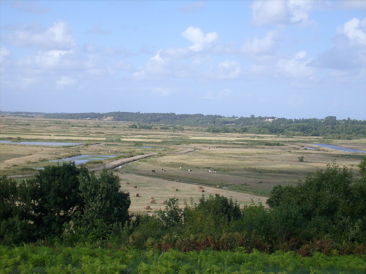 Vue de La Gripperie-Saint-Symphorien