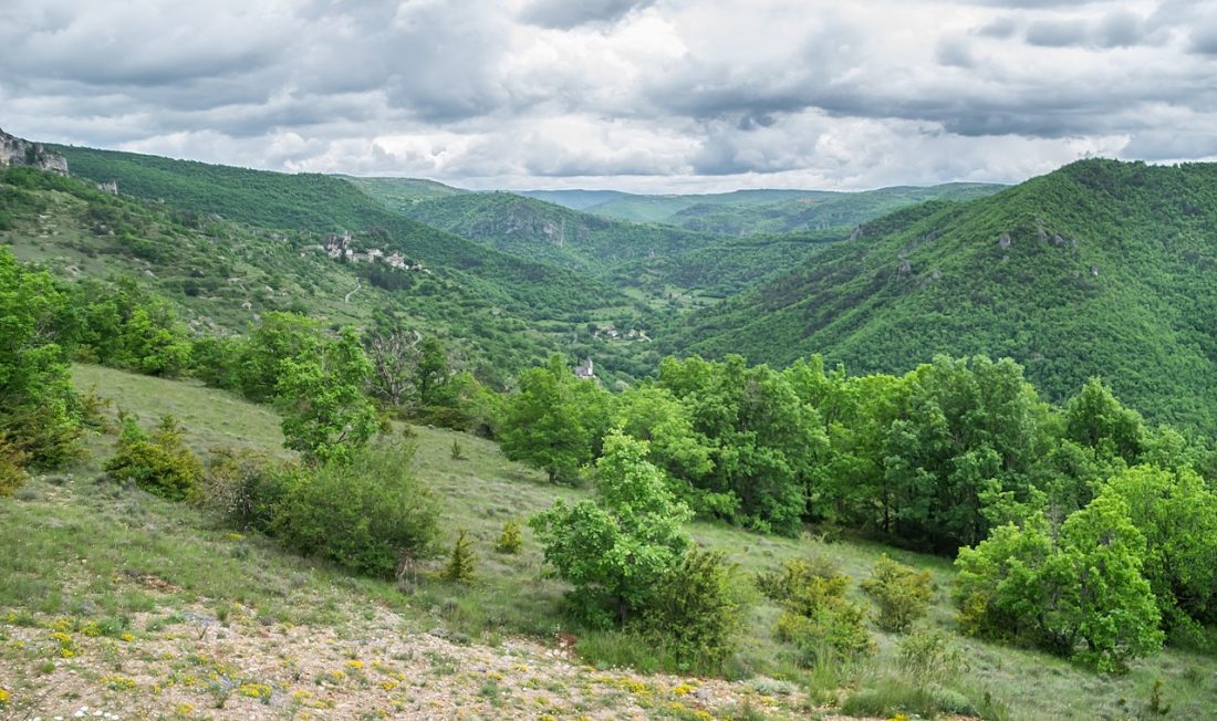 Vue de La Roque-Sainte-Marguerite