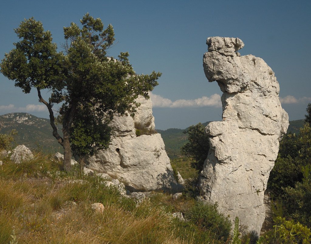 Vue de La Roquebrussanne