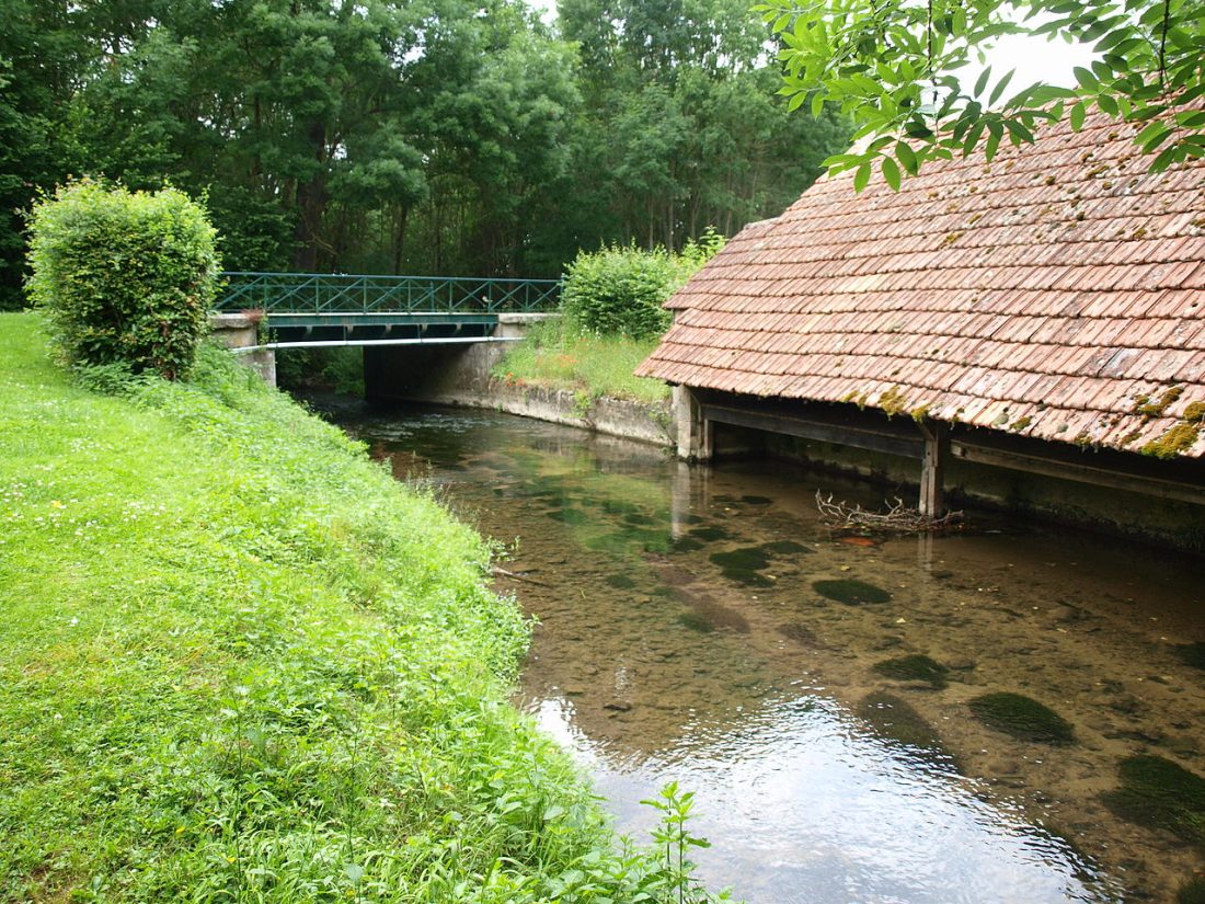 Vue de La Selle-sur-le-Bied