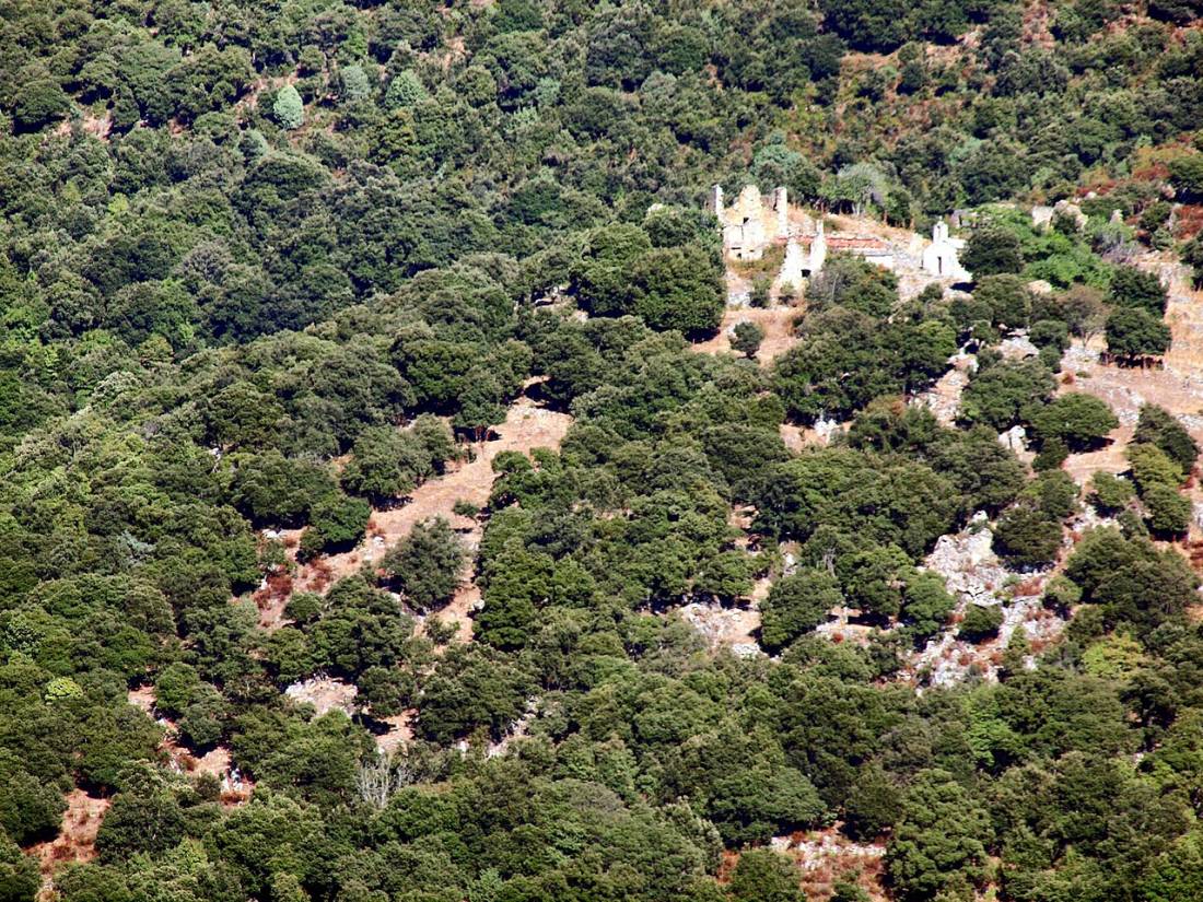 Vue de Lama