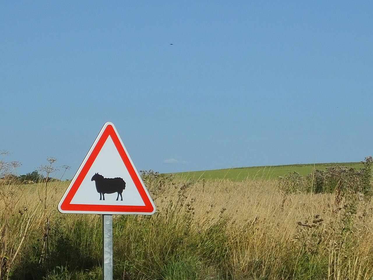 Vue de Lapanouse-de-Cernon