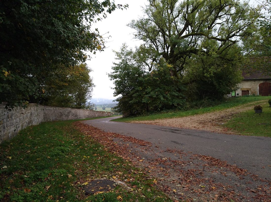 Vue de Largillay-Marsonnay
