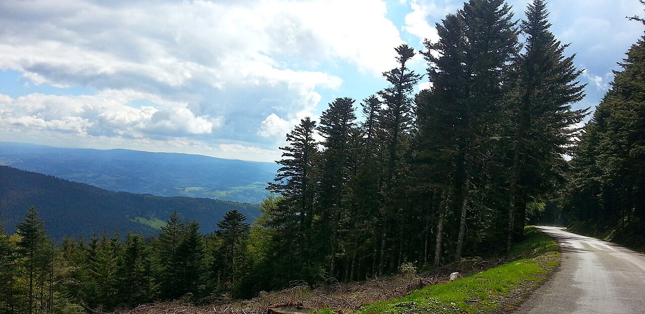 Vue de Le Brugeron