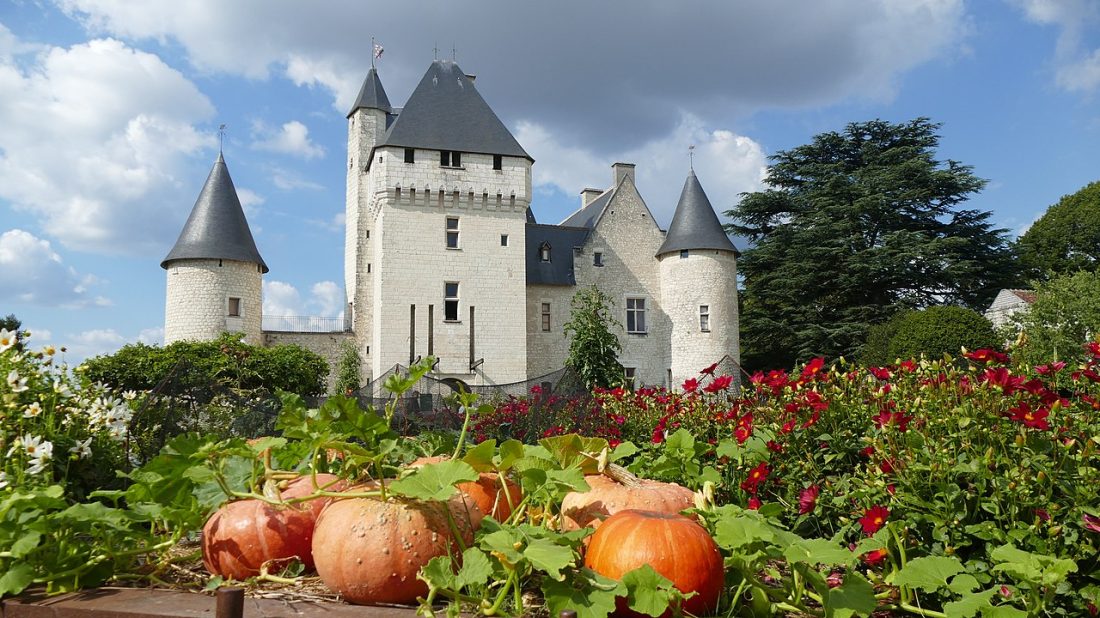 Vue de Ligré
