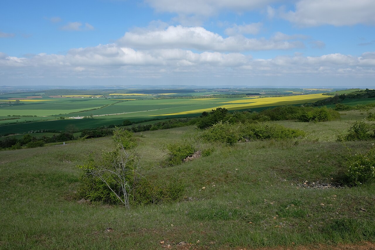 Vue de Liocourt