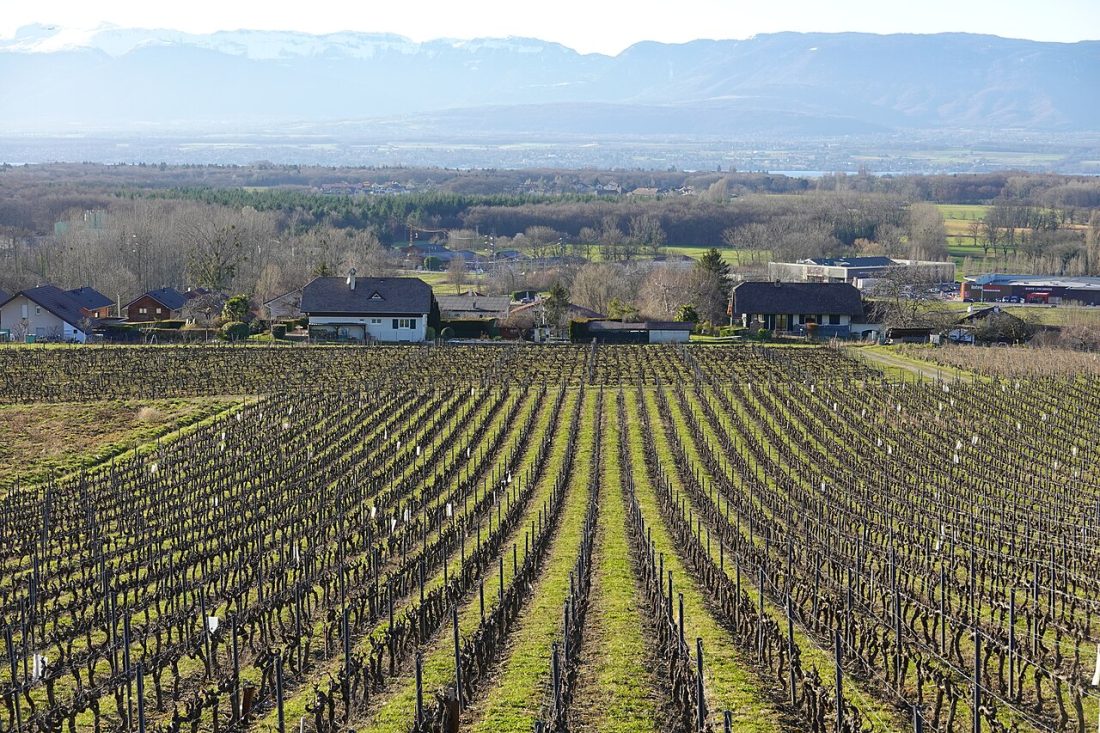 Vue de Loisin