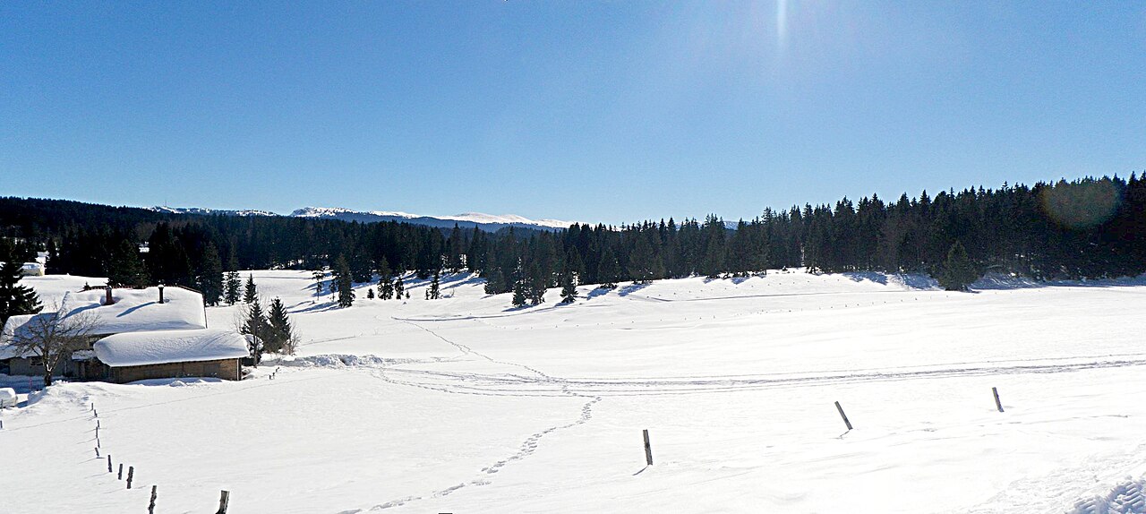 Vue de Longchaumois