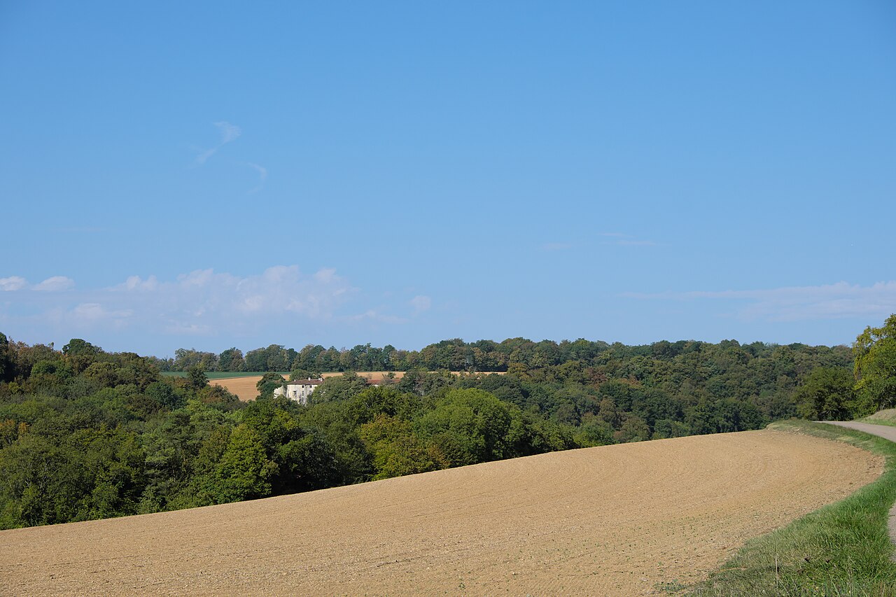 Vue de Mamey