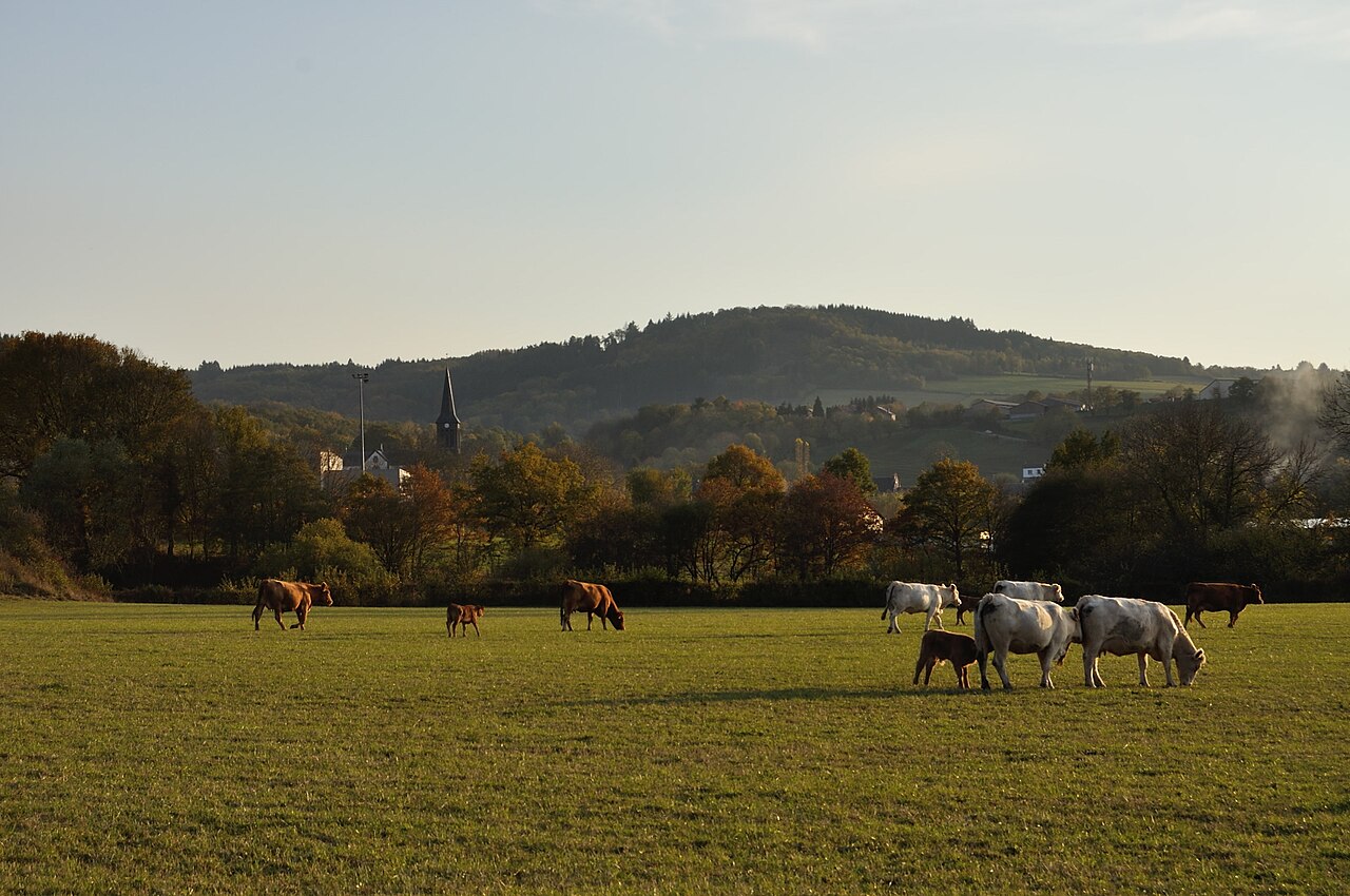 Vue de Manzat