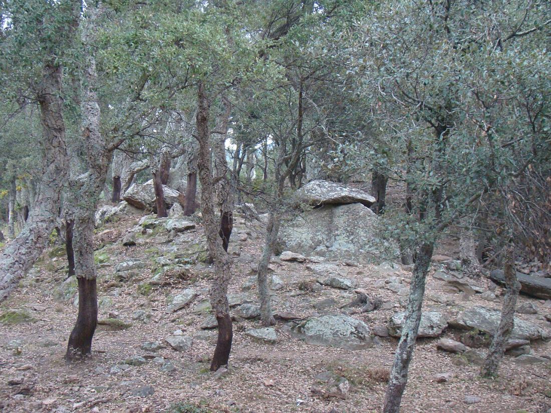 Vue de Maureillas-las-Illas