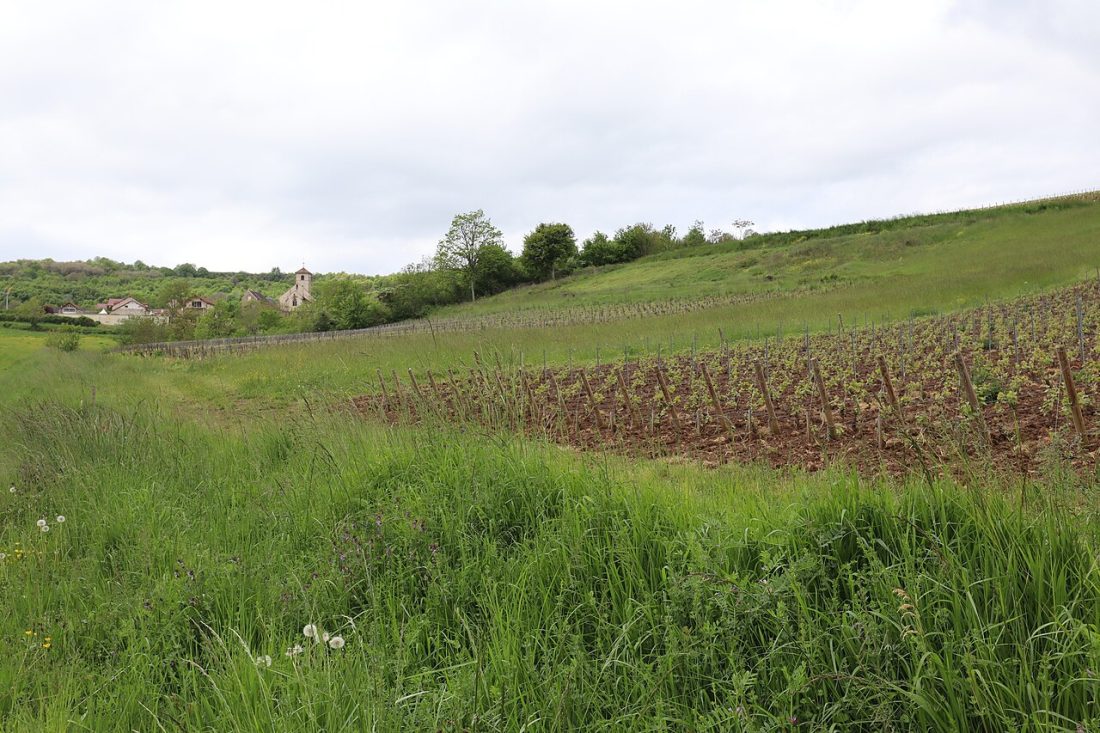 Vue de Mavilly-Mandelot