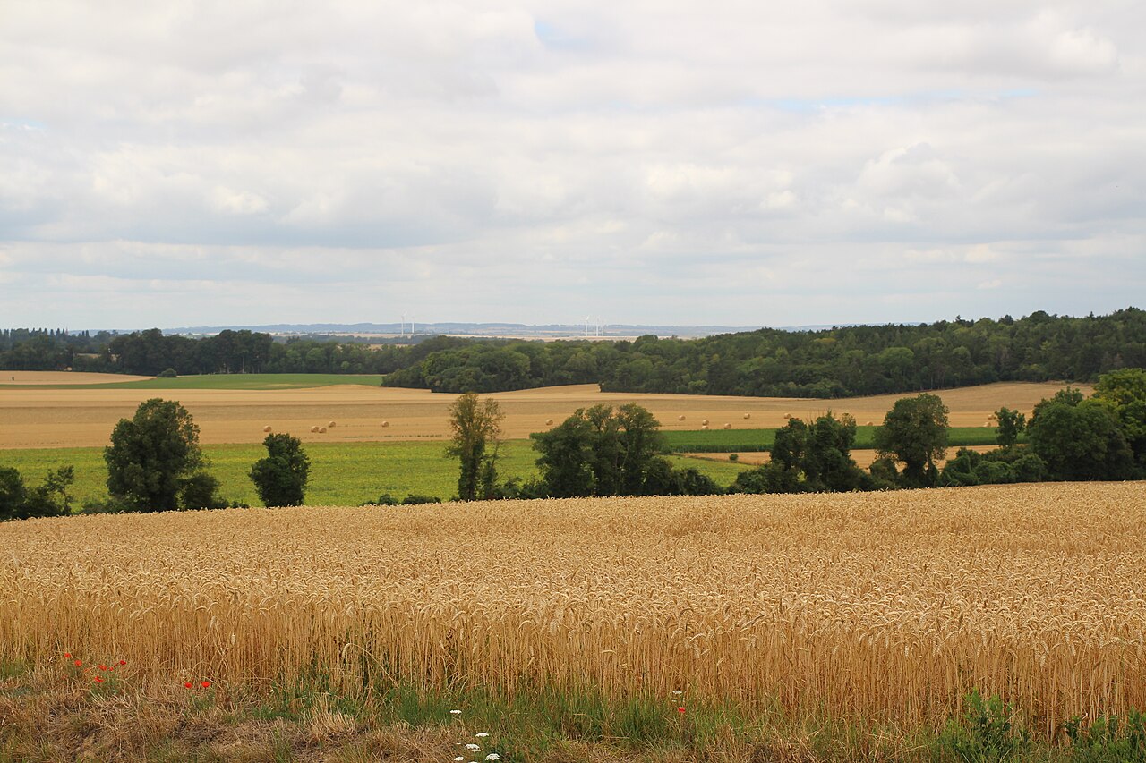 Vue de Médavy