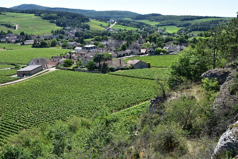 Vue de Mercurey
