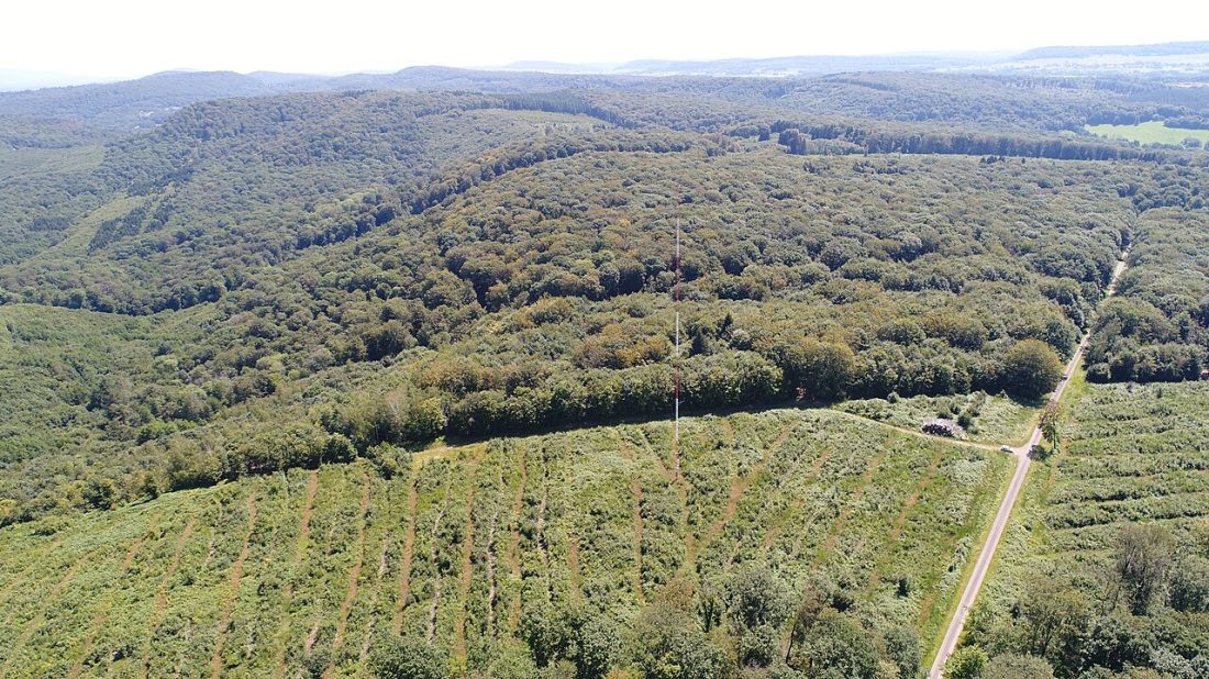 Vue de Mignavillers