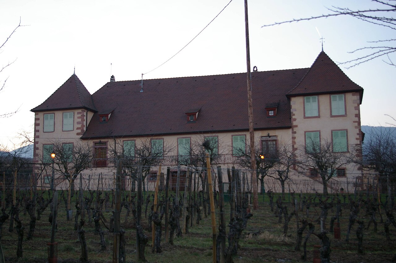 Vue de Mittelwihr